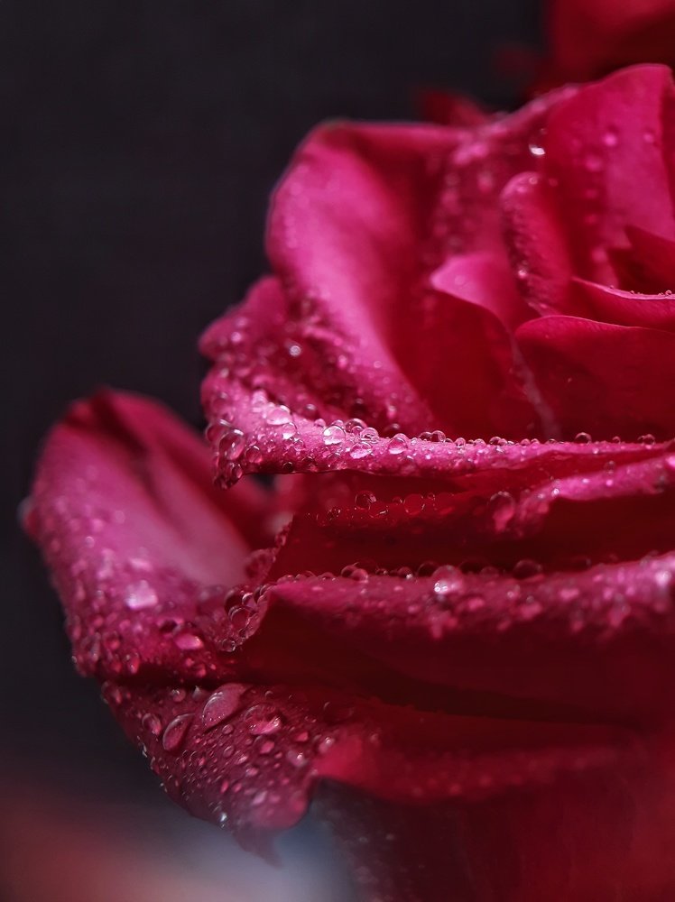 Photograph by Валентина Кананина