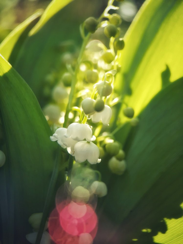 Photograph by Валентина Кананина