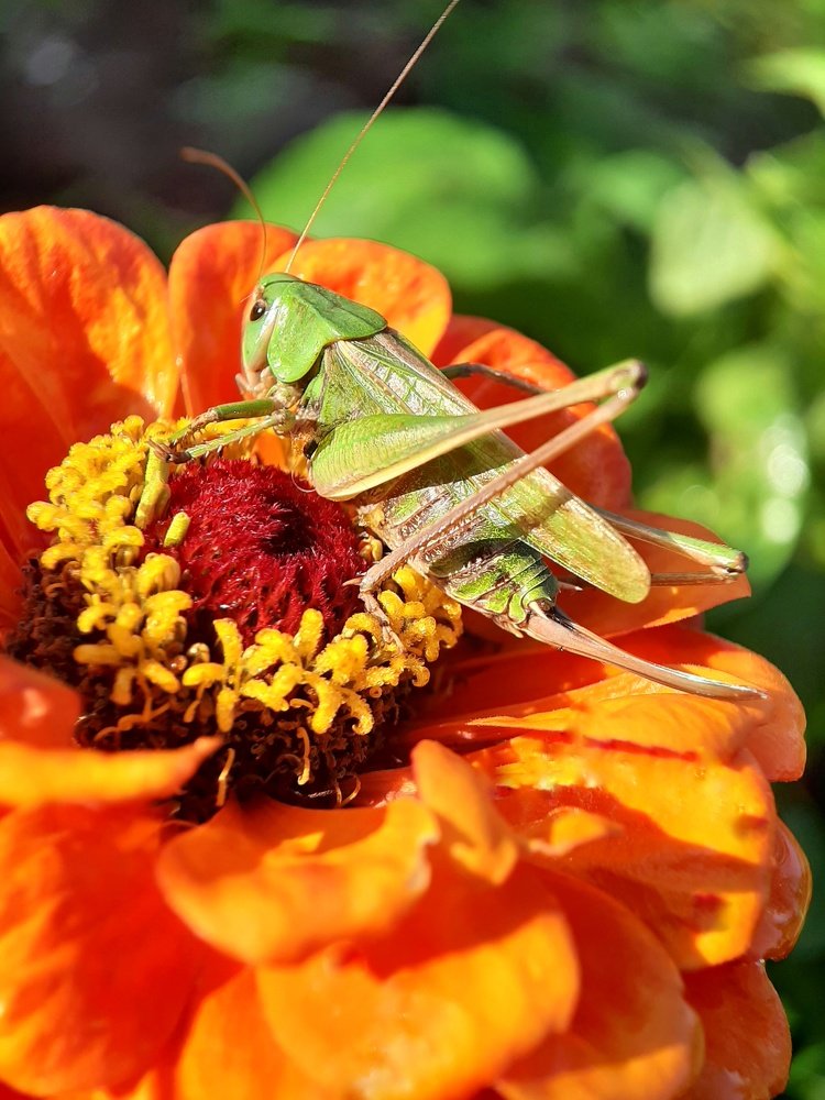 Photograph by Валентина Кананина