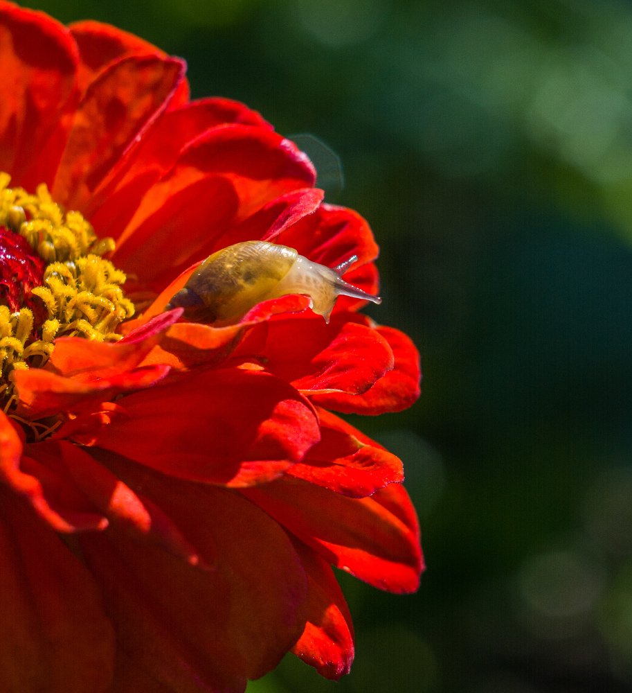 Photograph by Валентина Кананина