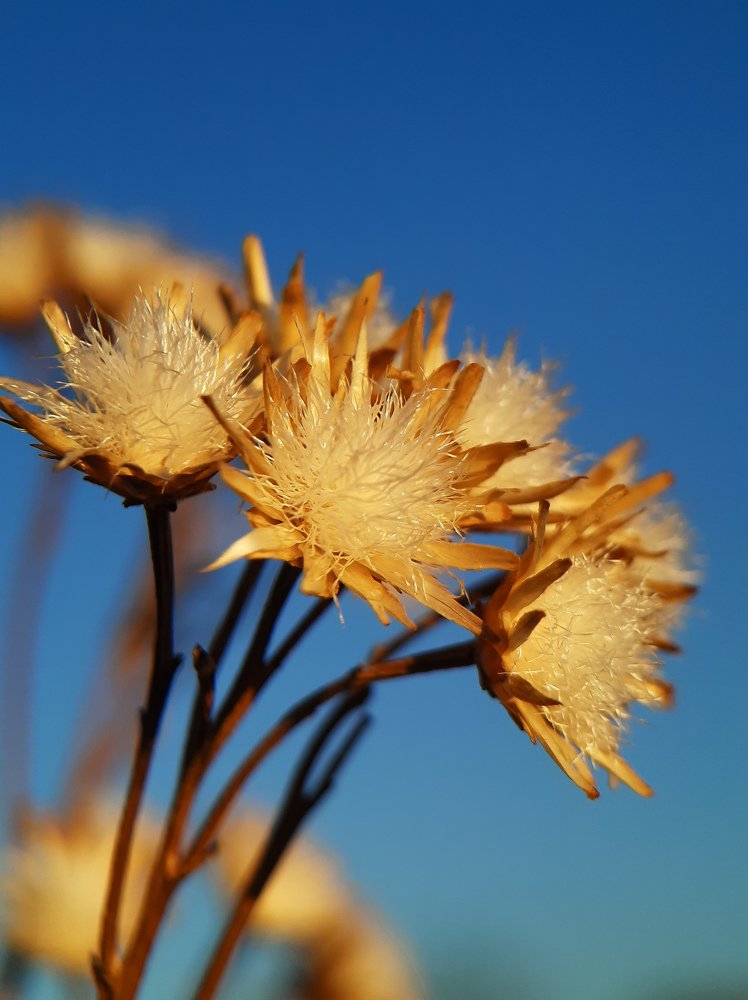Photograph by Валентина Кананина