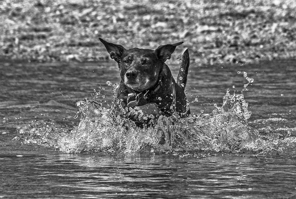 Фотография автора Marina