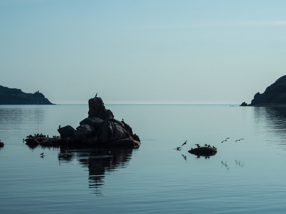 Photograph by Кристина Гареева