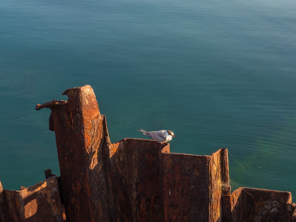 Photograph by Кристина Гареева