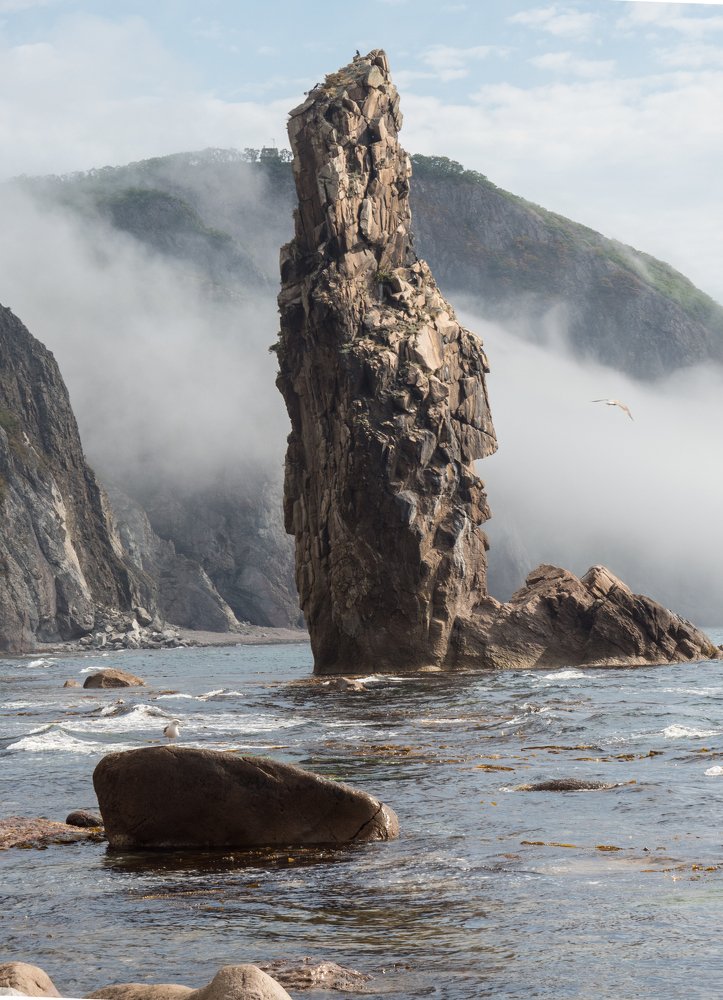 Photograph by Кристина Гареева