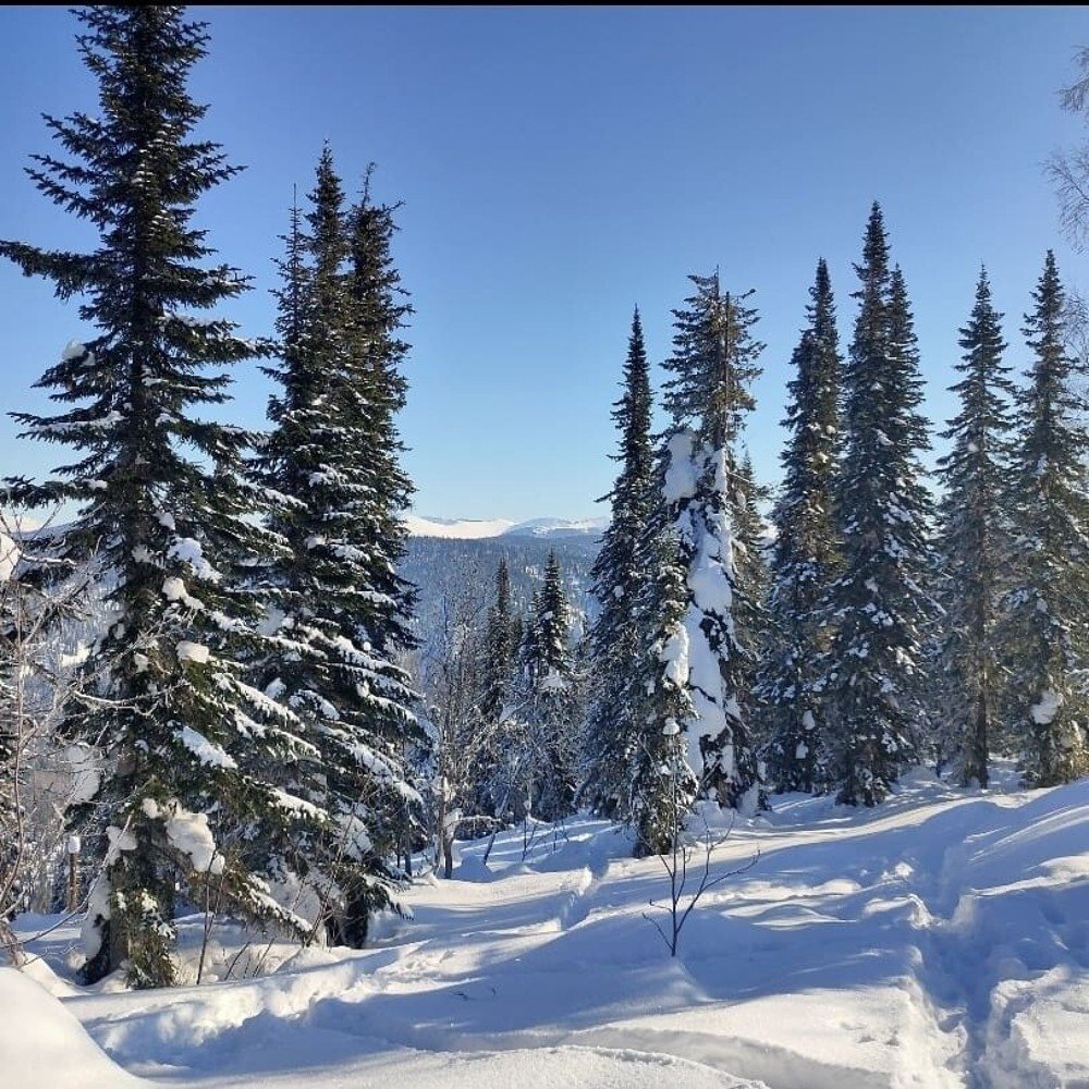 Photograph by Анна Горичева