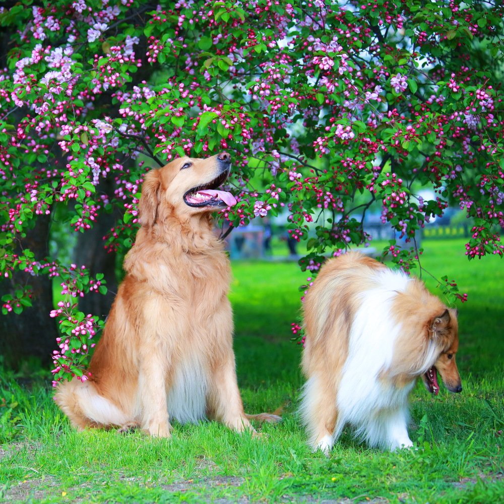 Photograph by Александр Юдин