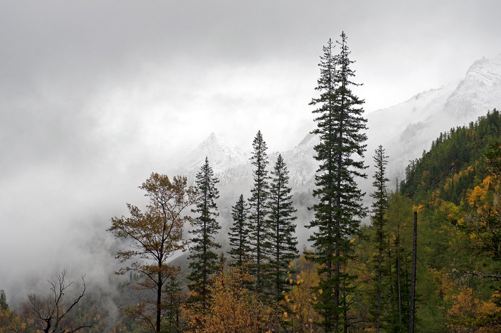 Так начинался день.