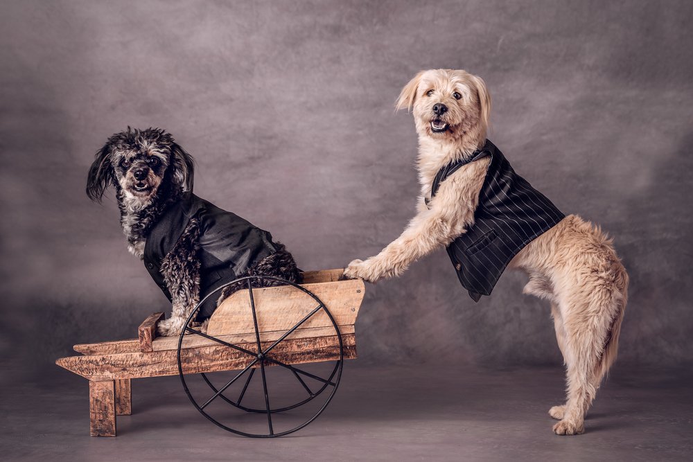 Фотография автора Ana Verdugo