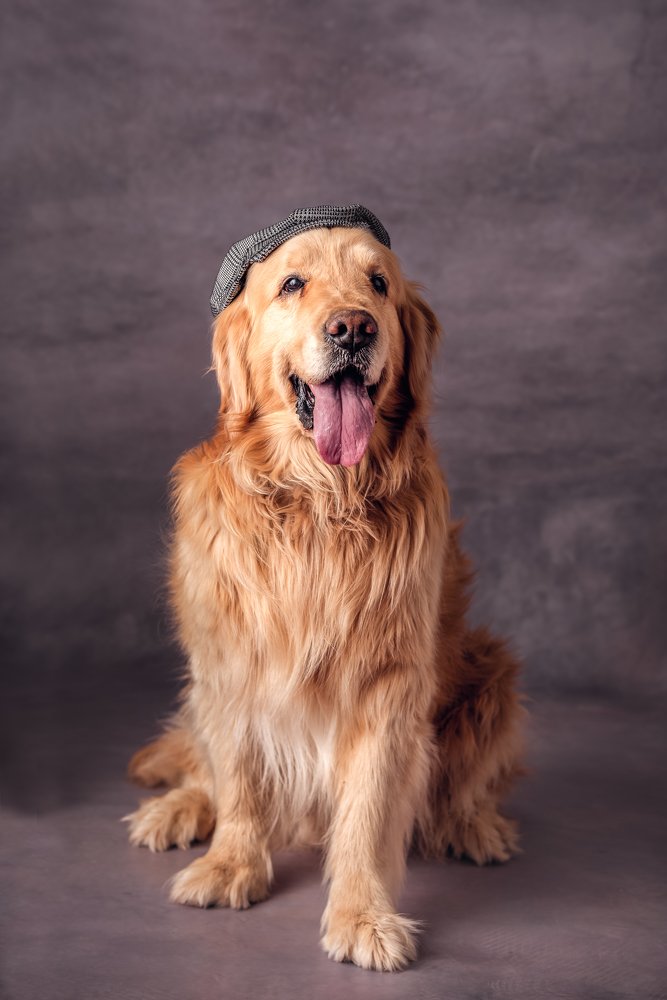 Фотография автора Ana Verdugo