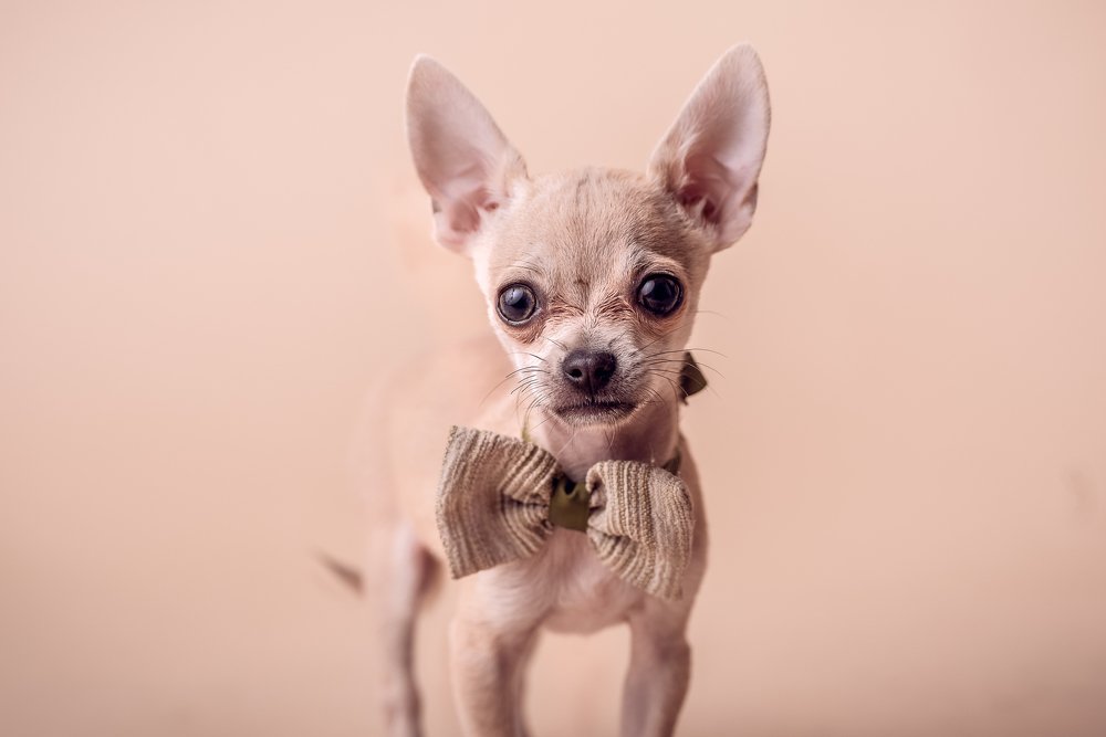 Фотография автора Ana Verdugo