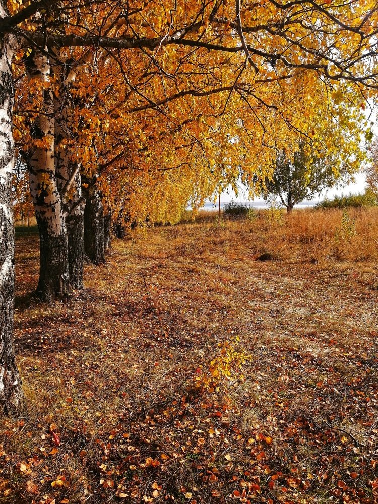 Фотография автора Евгения Снигирева