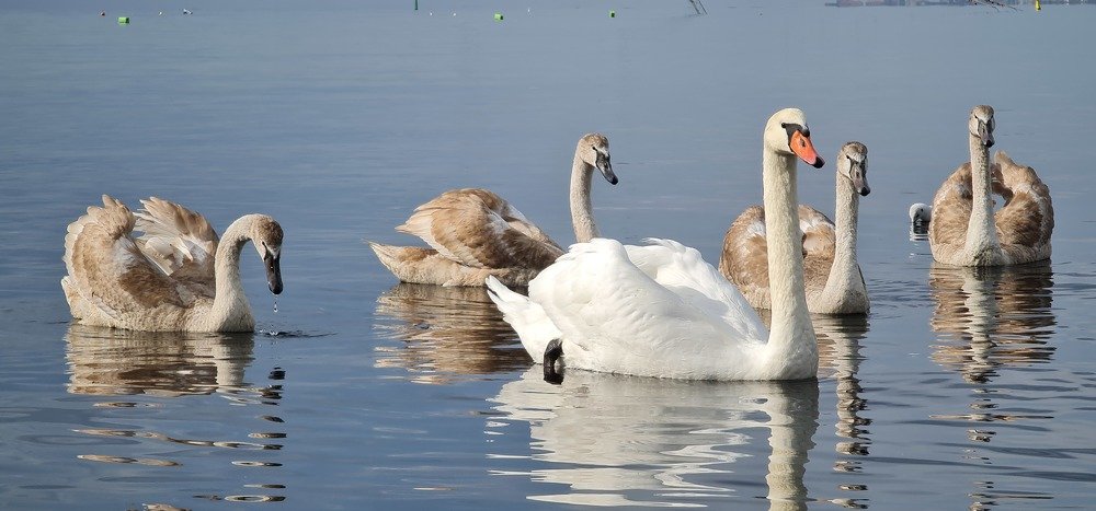 Photograph by Алексей Миронов