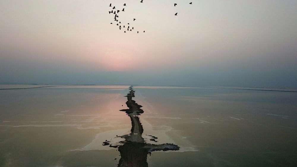 Between Life and Death in the Dead Sea (Death)