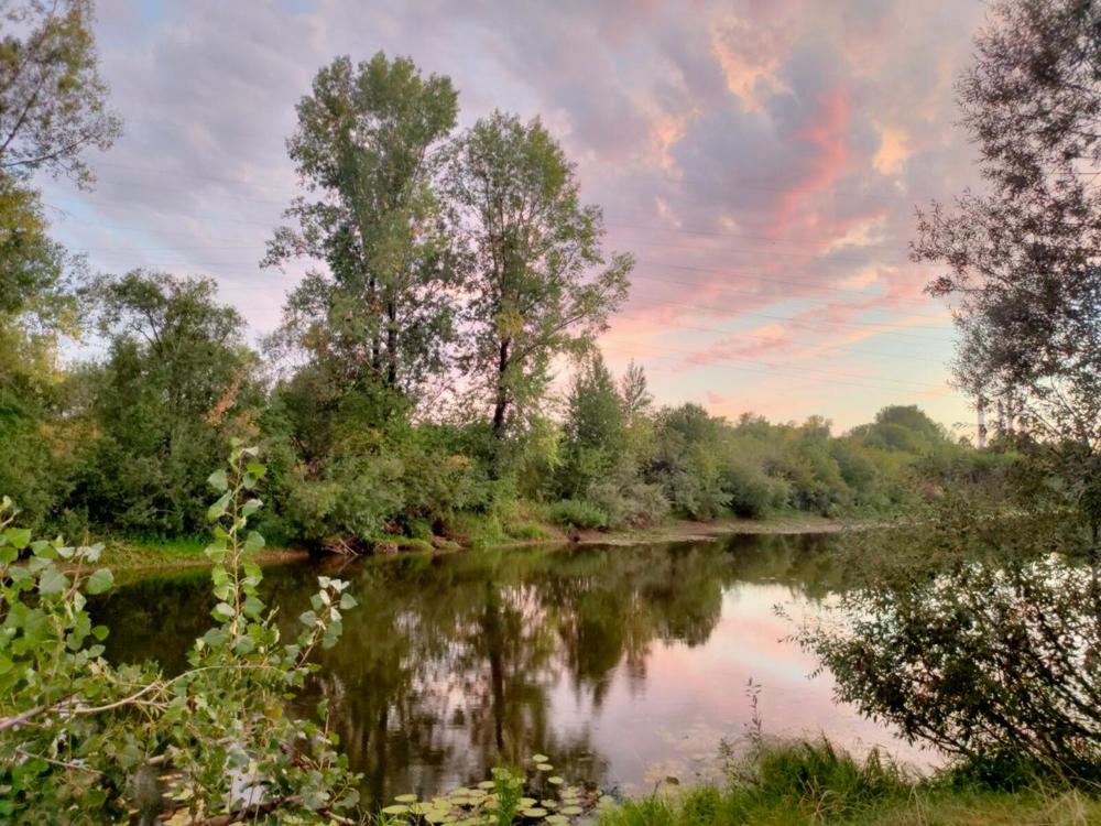 Photograph by Анна Горичева