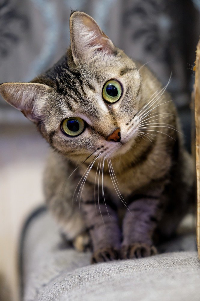 Внимательно