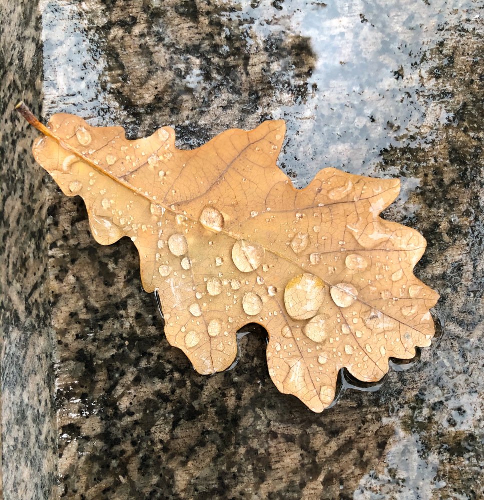 Photograph by Айшат Магомедова