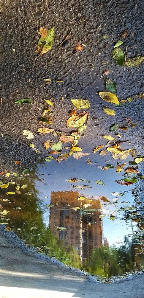 Город в осени