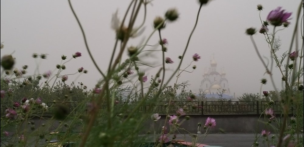 Photograph by Ирина Балабохина