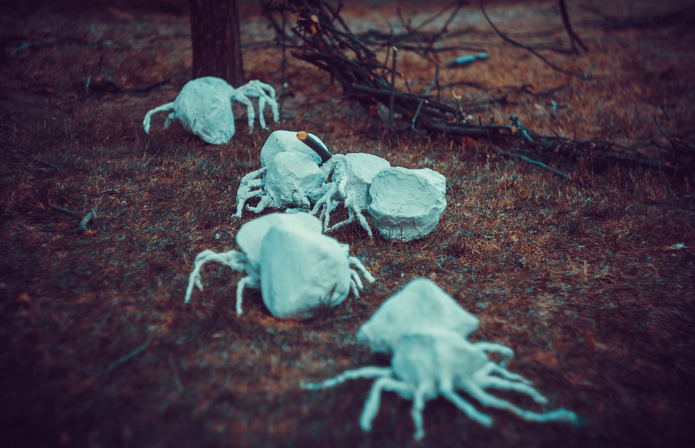 Photograph by Saulius Mikalauskas