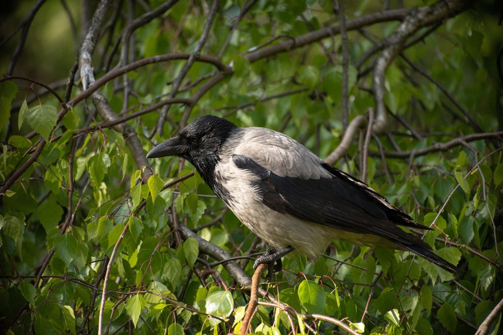 Photograph by Павел Юнусов