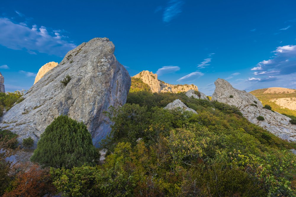 Photograph by Анна Кривицкая