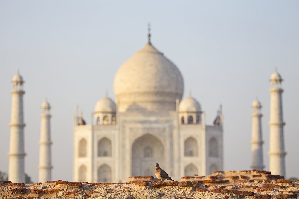 Фотография автора hitesh chawla