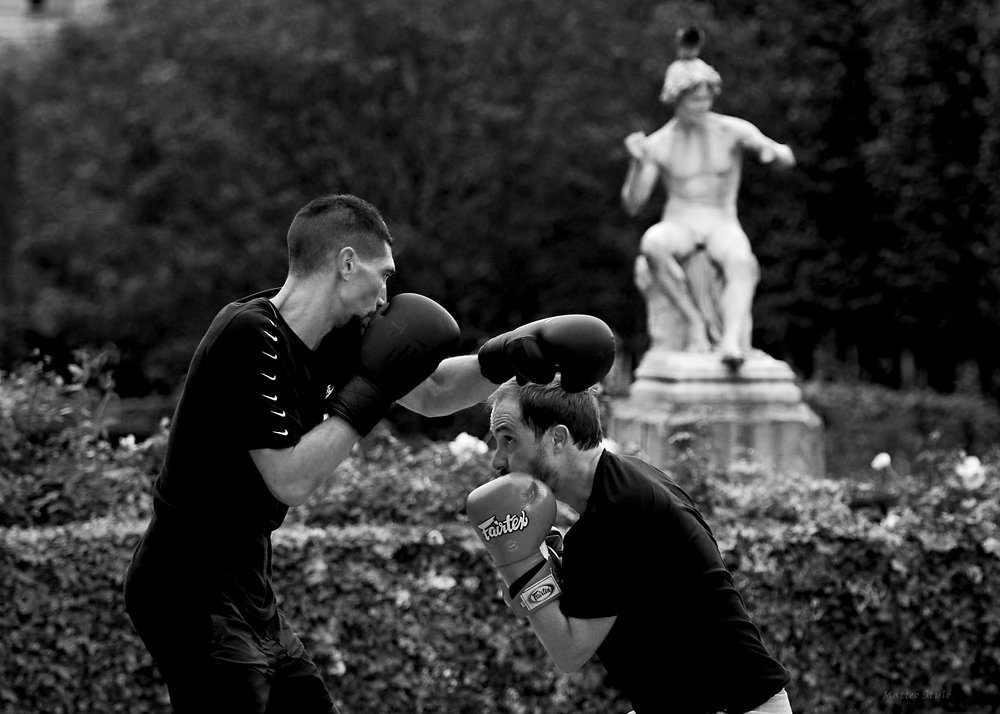 Photograph by Matteo