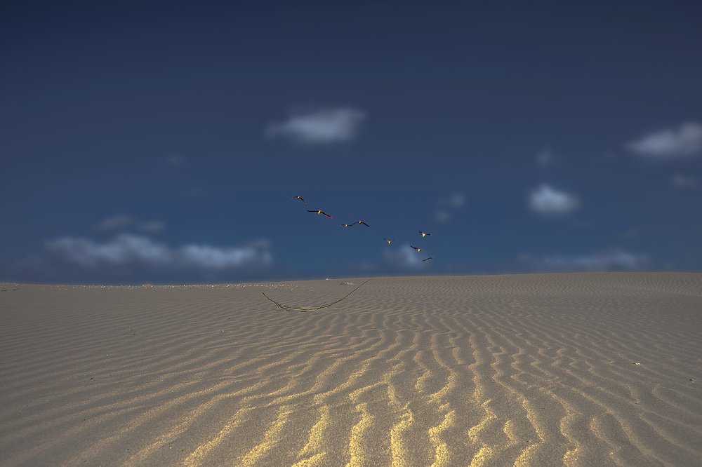 Photograph by Leonid Lan