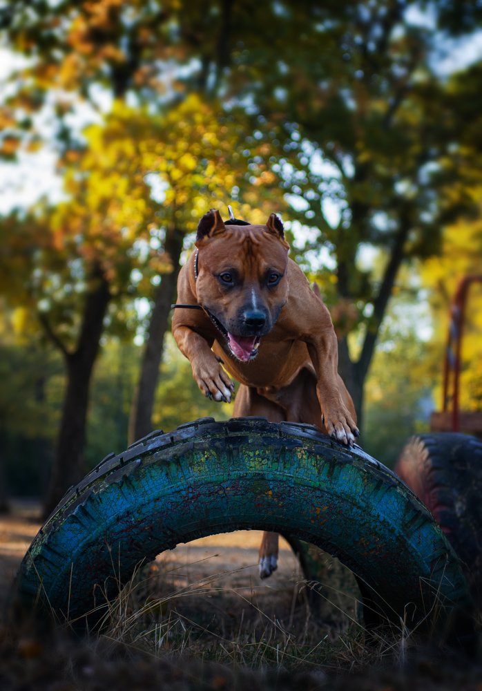 Photograph by Diana Potapenko