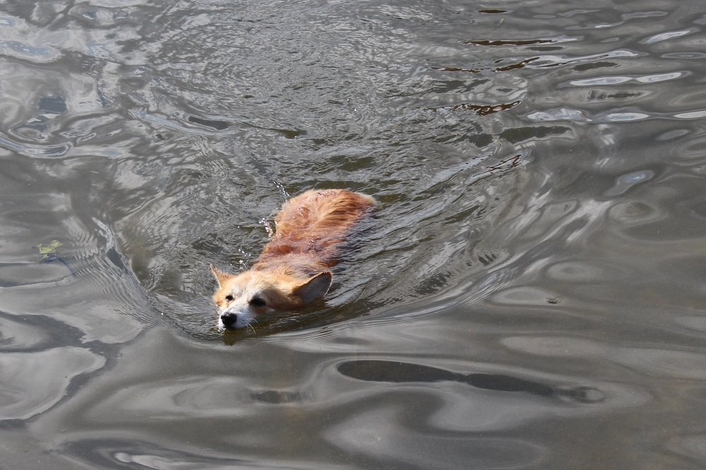 Photograph by Виталий