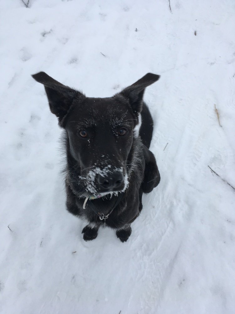 Photograph by Мария Титова