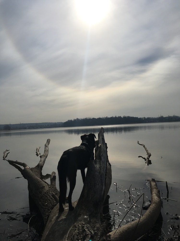 Photograph by Мария Титова