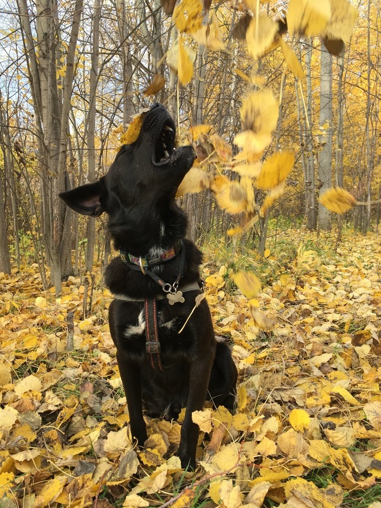 Photograph by Мария Титова