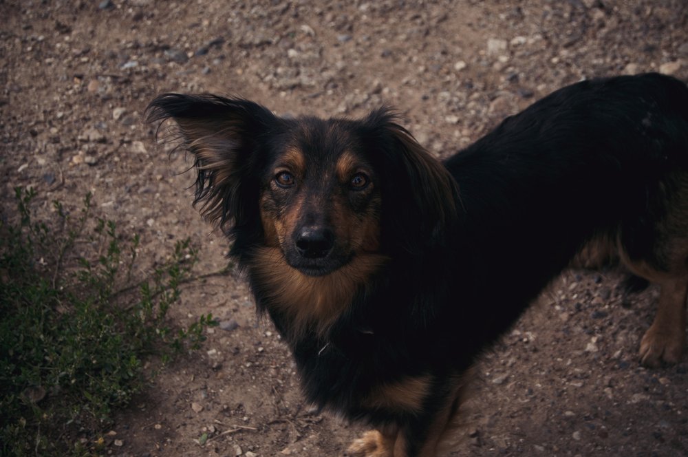 Photograph by Маргарита Гасец