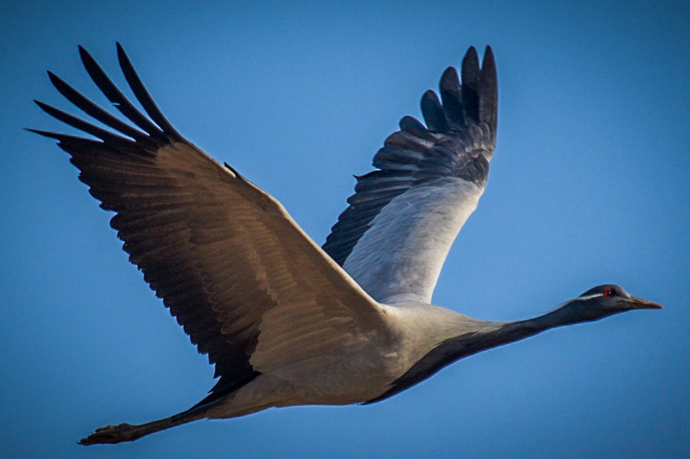 Photograph by vinamra gupta