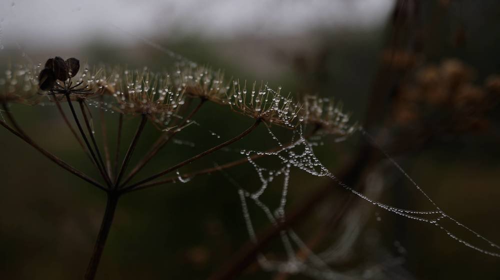 Photograph by Иван Кирилков