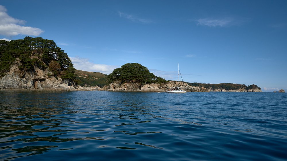 Photograph by Алексей Кисель