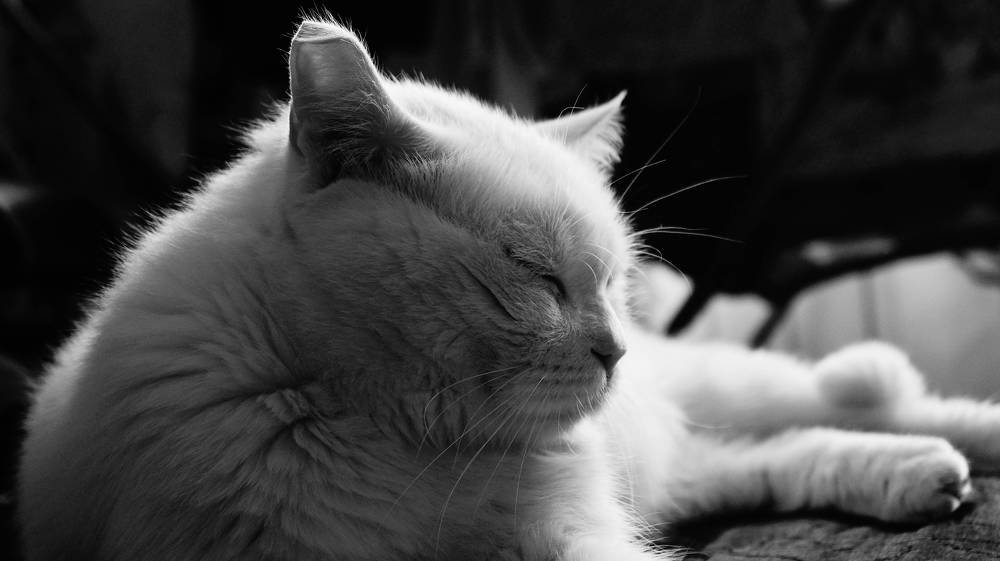 Photograph by Иван Кирилков