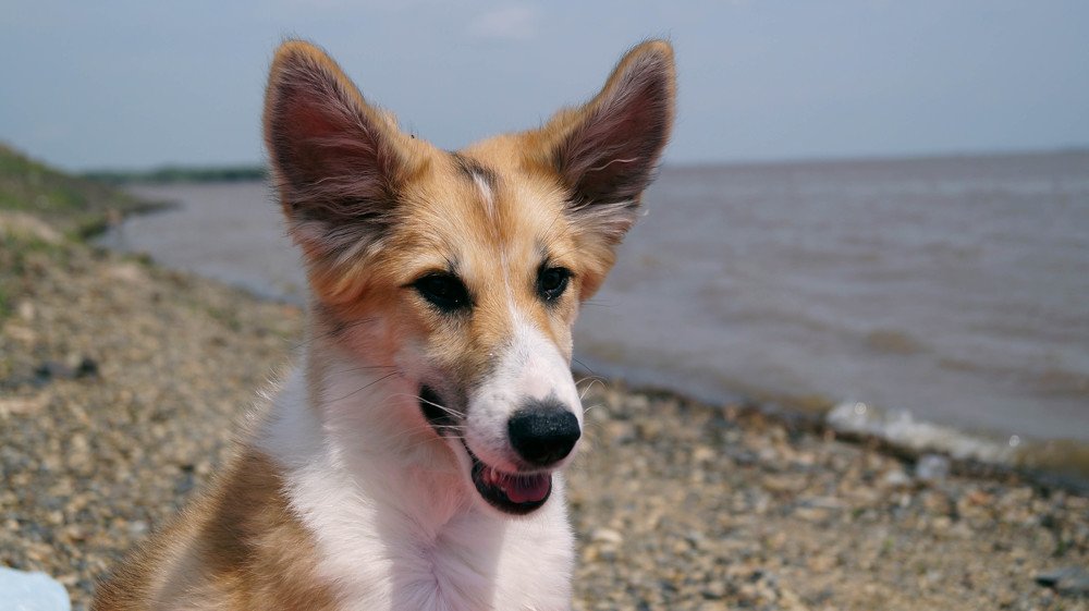 Photograph by Иван Кирилков