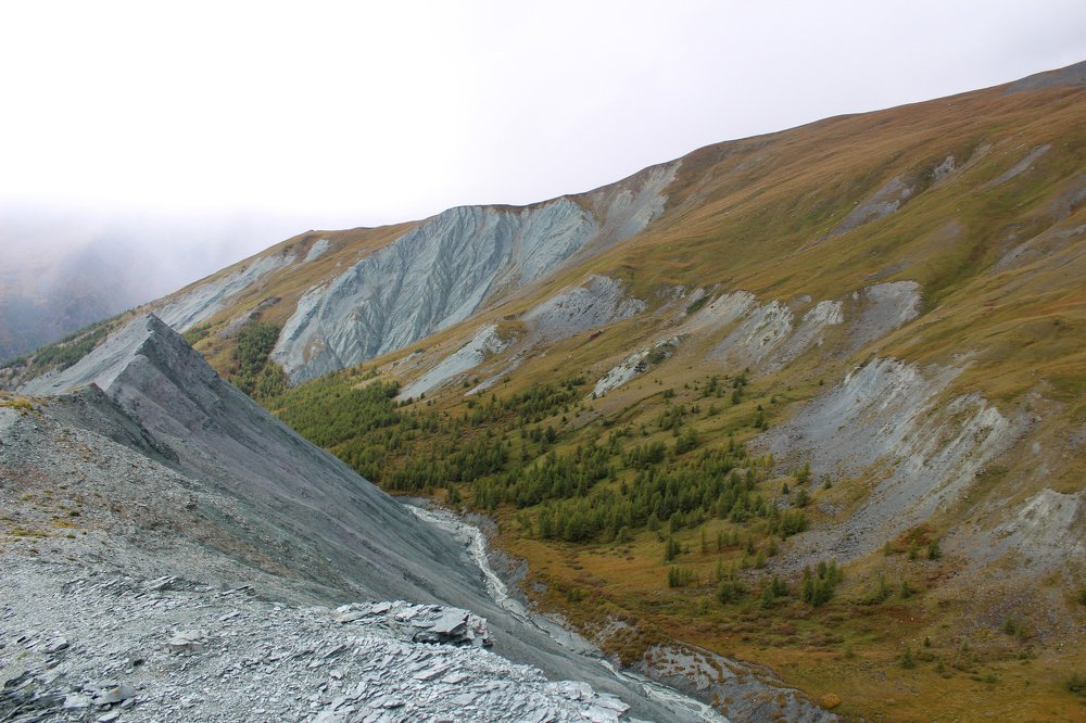 Грани жизни.