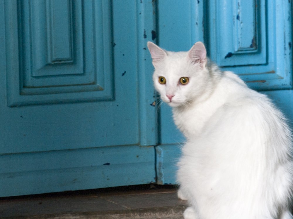 Photograph by Moulay Ahmed KASSI