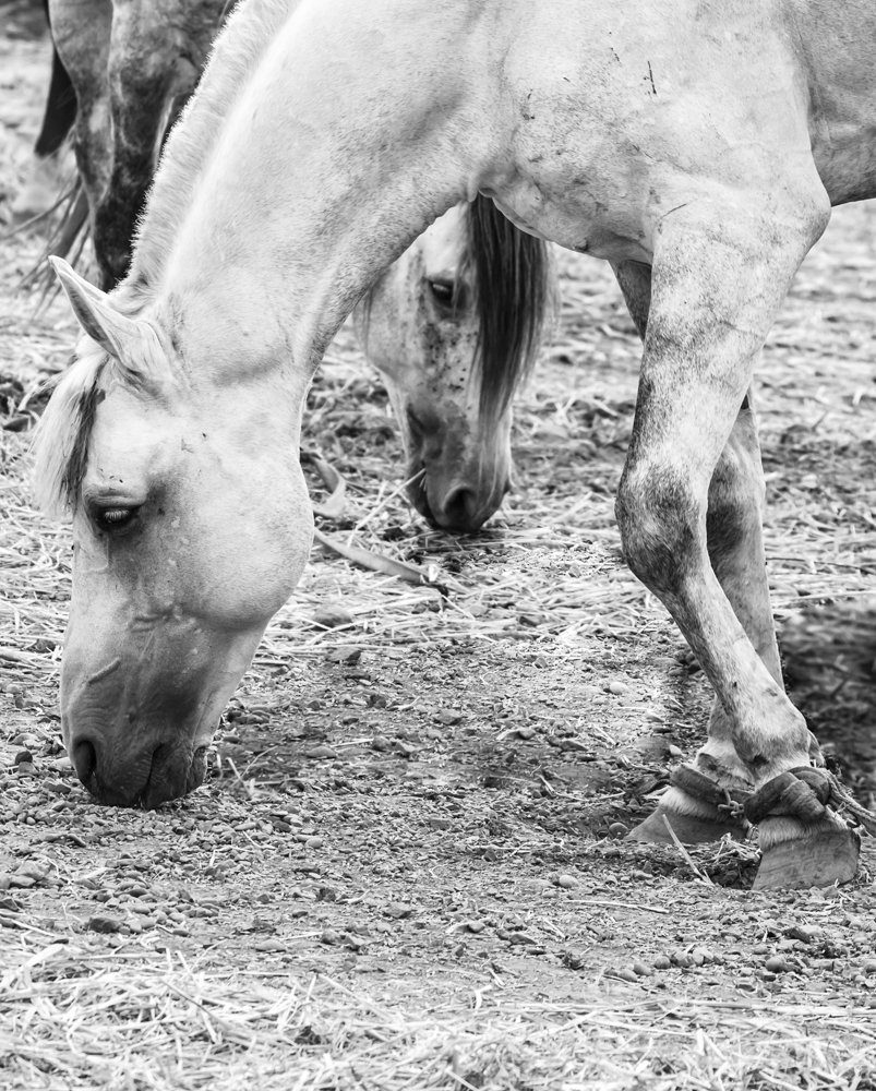 Photograph by Moulay Ahmed KASSI