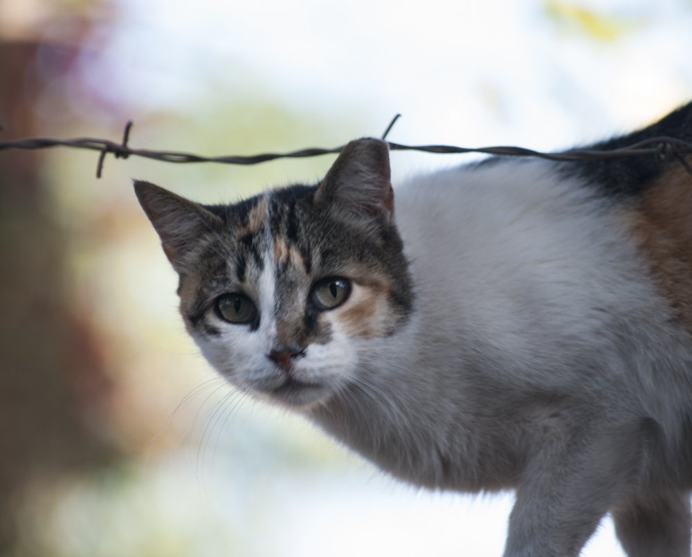 Photograph by Moulay Ahmed KASSI