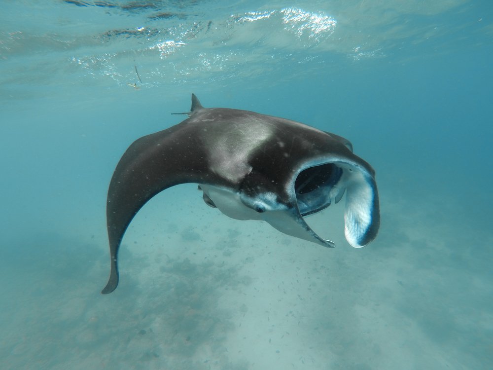 Photograph by Katya Tsvetkova