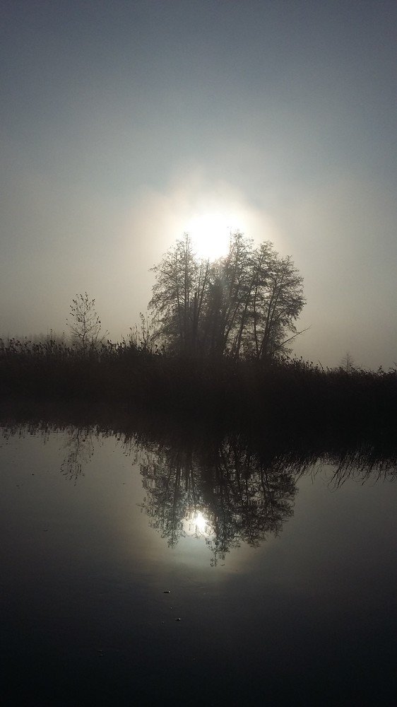 Photo #5010796