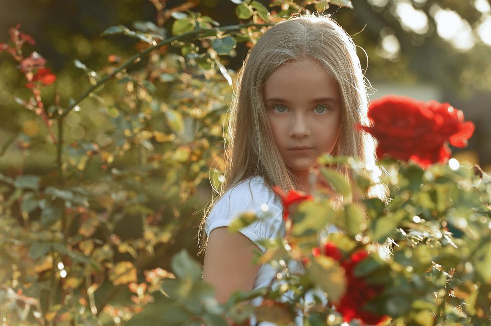 Photograph by Николай Евдокимов