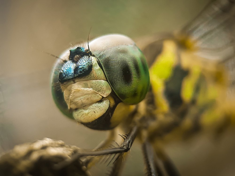 Photograph by Wandy Jennifer