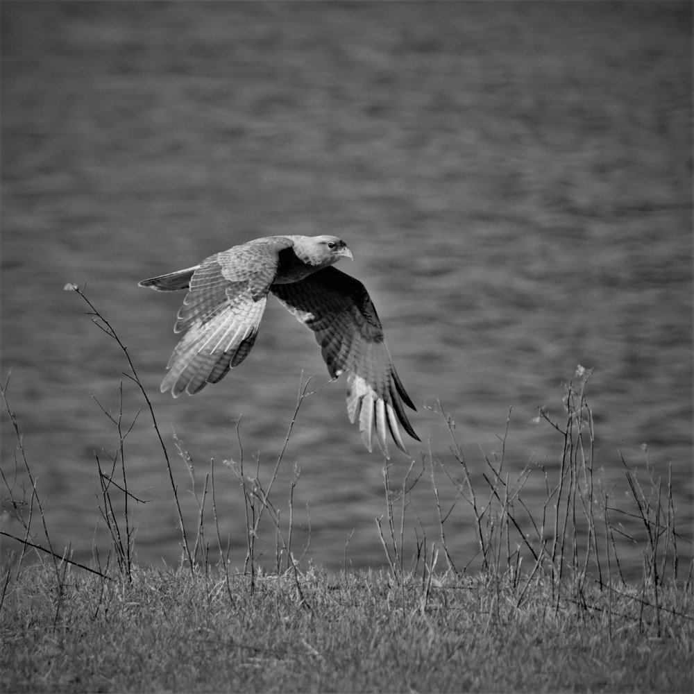 Photograph by Karina Elena Bergagna