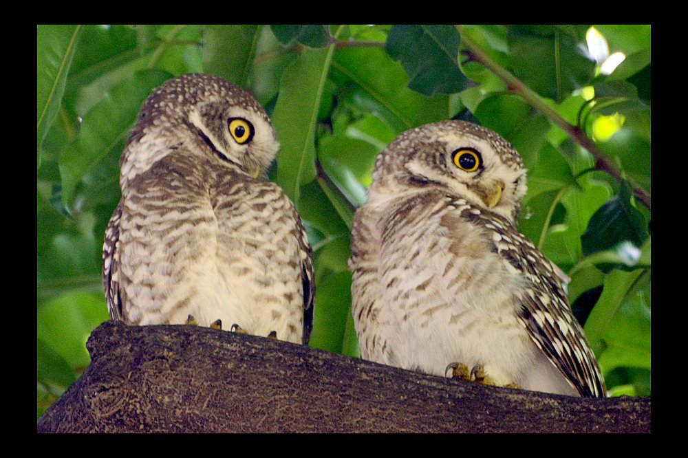 One plus one total two